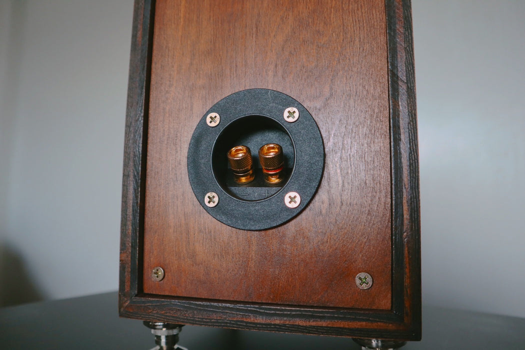 Passive Speakers with Banana Plug Connectors