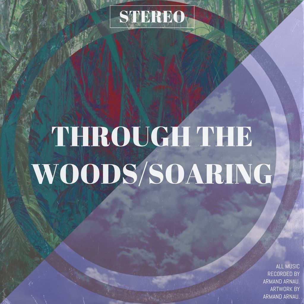 Through the Woods / Soaring